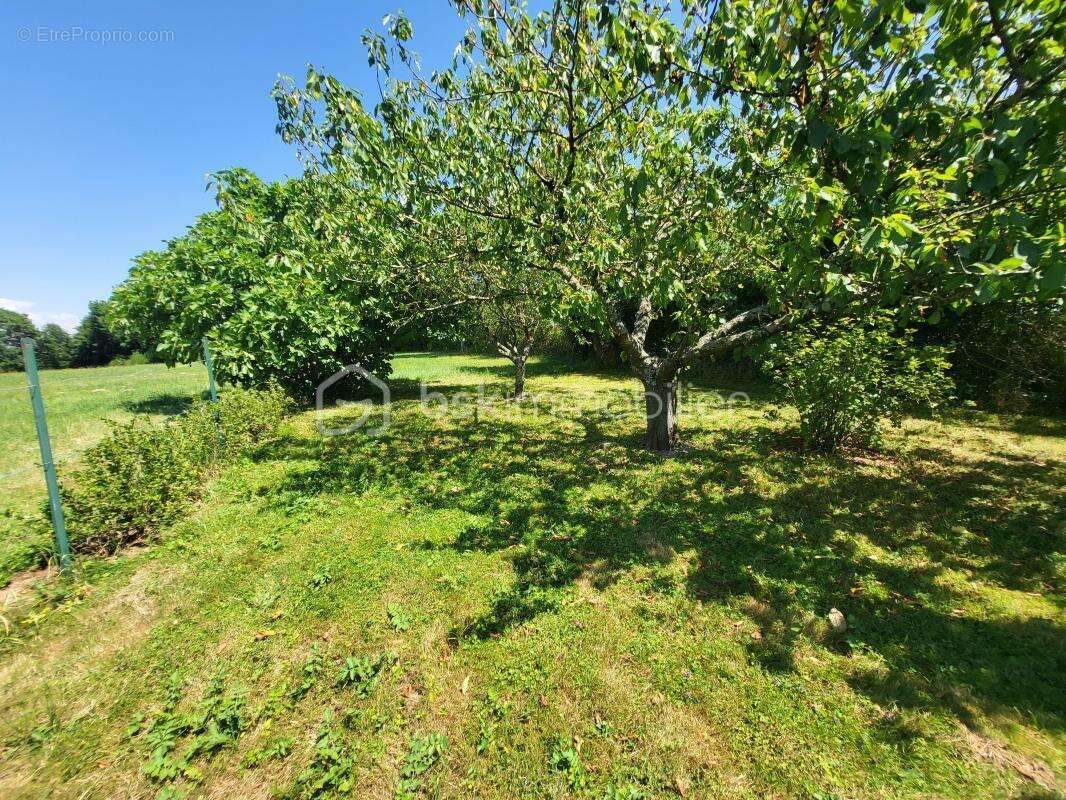 Maison T8 197 m2 terrain 1 ah - photo 15