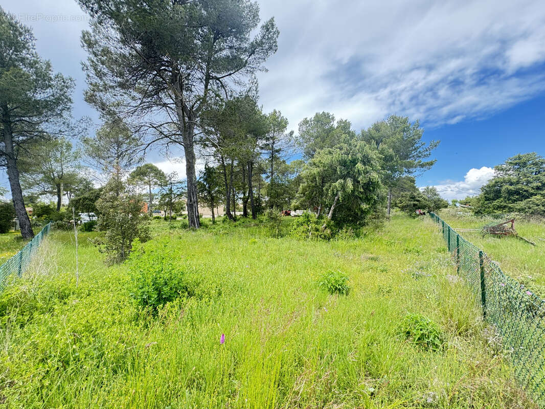 Terrain à FOX-AMPHOUX