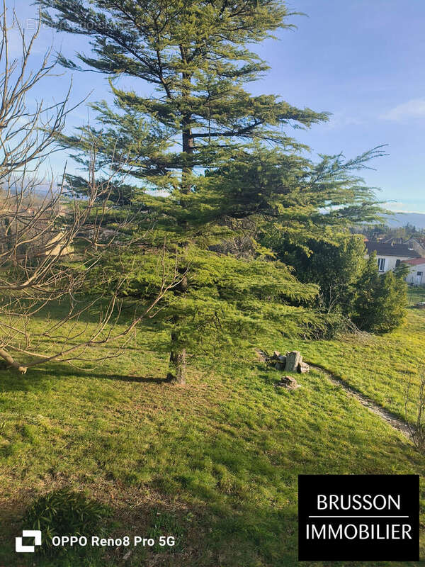 Appartement à CASTRES