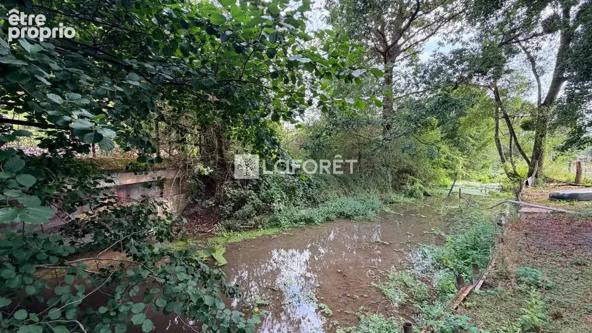 Maison avec plan d'eau Ville Sur Tourbe 7 pièces 174 m2 - photo 14