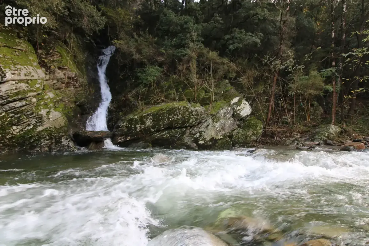 MAS 360 de volume + 25 hectares. - photo 129