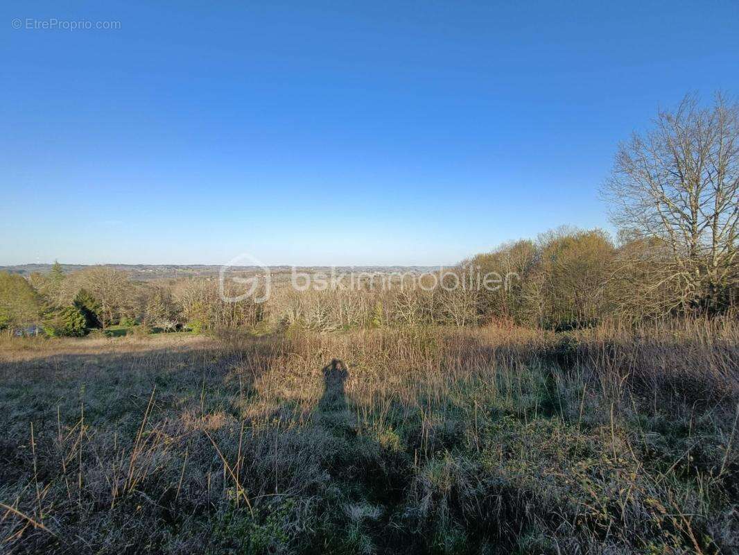 Terrain à LE BUISSON-DE-CADOUIN