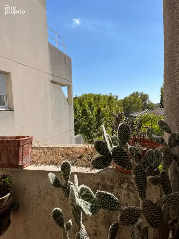 ARLES Les Ayscamps - T2 vendu loué - Terrasse 12 m² et cave - photo 8