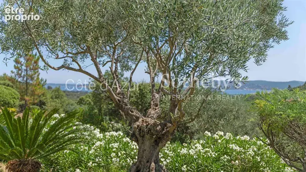 Propriété avec piscine et vue mer à Grimaud, proche de Saint-Tropez - photo 19