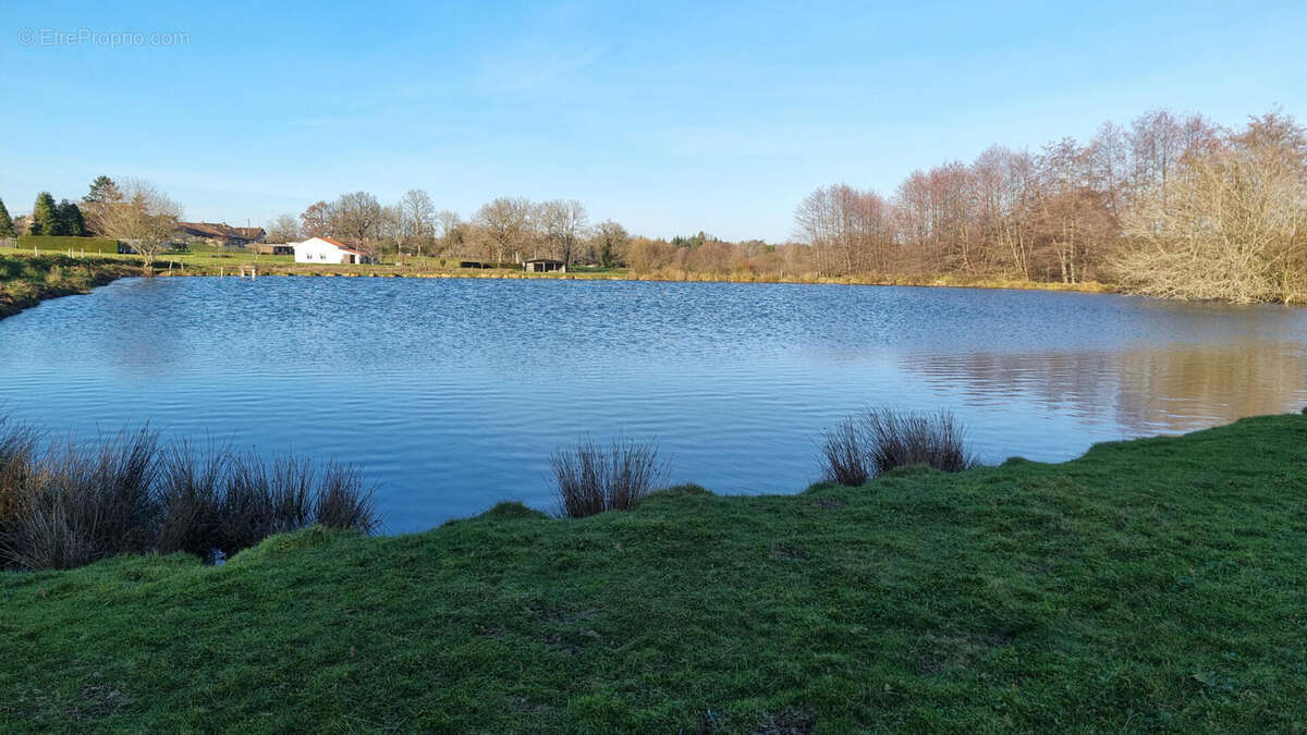 20251218_151954 - Maison à PIEGUT-PLUVIERS