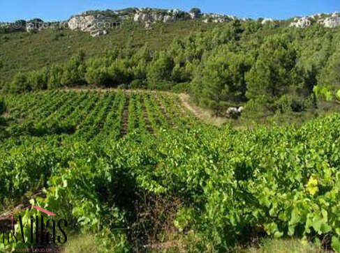 Maison à LEZIGNAN-CORBIERES