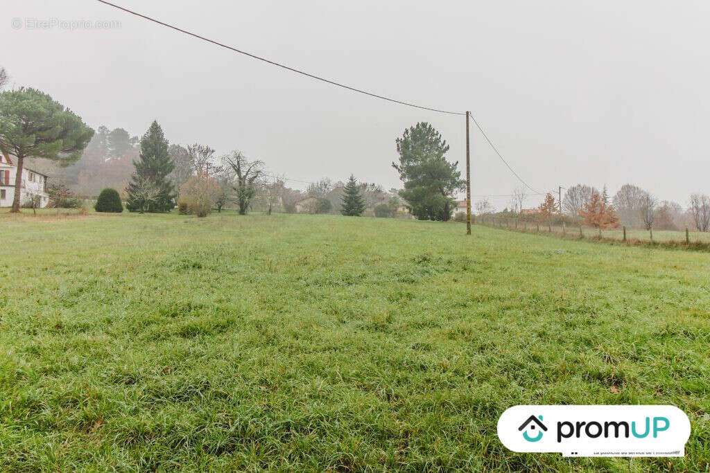 Terrain à SAINT-AULAYE