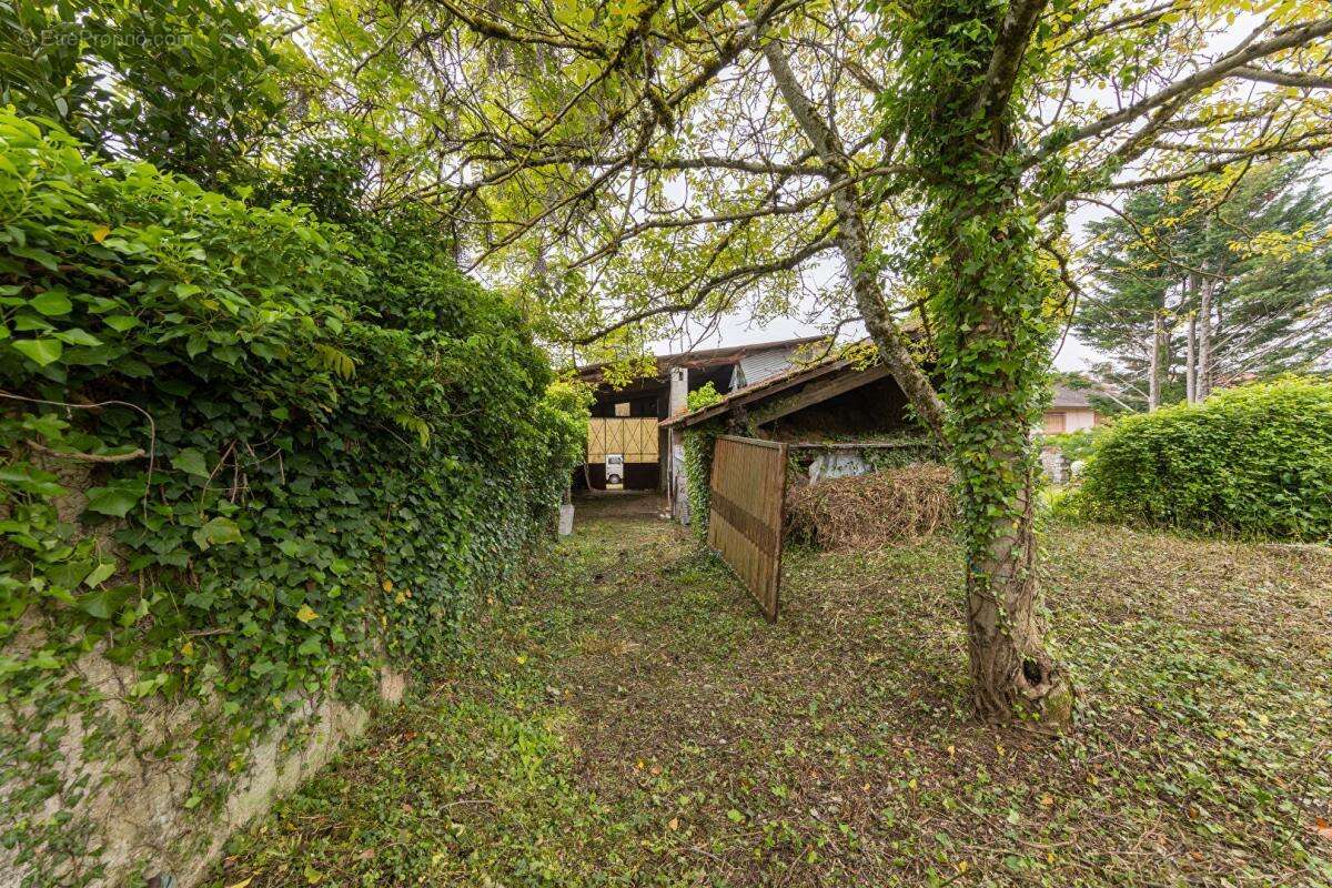 Maison à MEILLONNAS