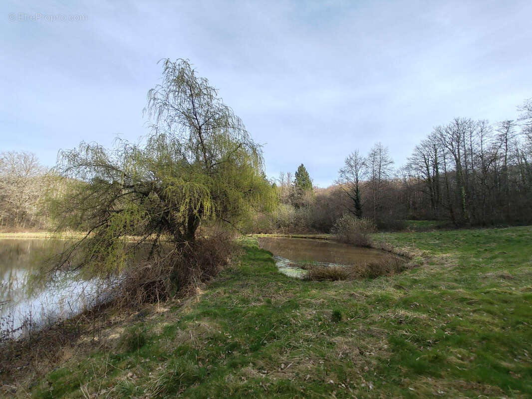 Terrain à EVETTE-SALBERT