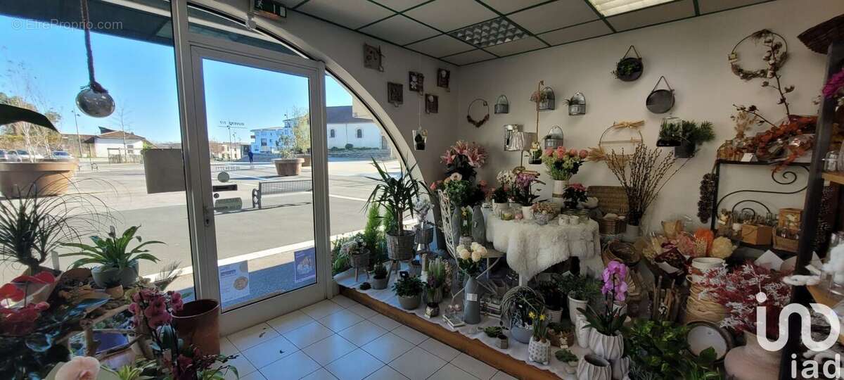 Photo 5 - Commerce à TARNOS