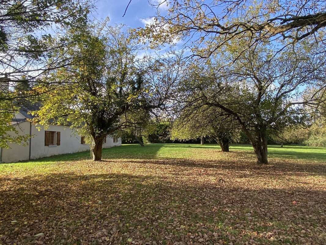 Maison à LE LION-D&#039;ANGERS
