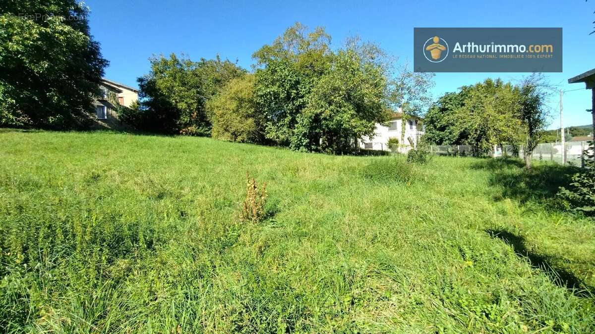 Terrain à LAROQUE-D&#039;OLMES