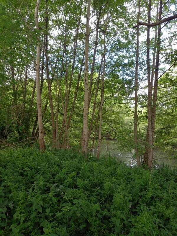 Terrain à COURTEMAUX