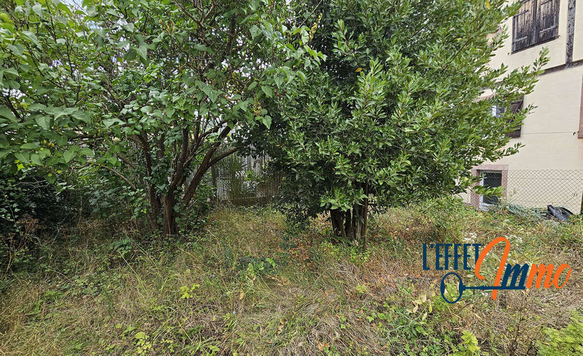 Maison à LAUTENBACH