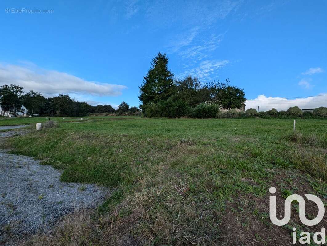 Photo 2 - Terrain à BERNE