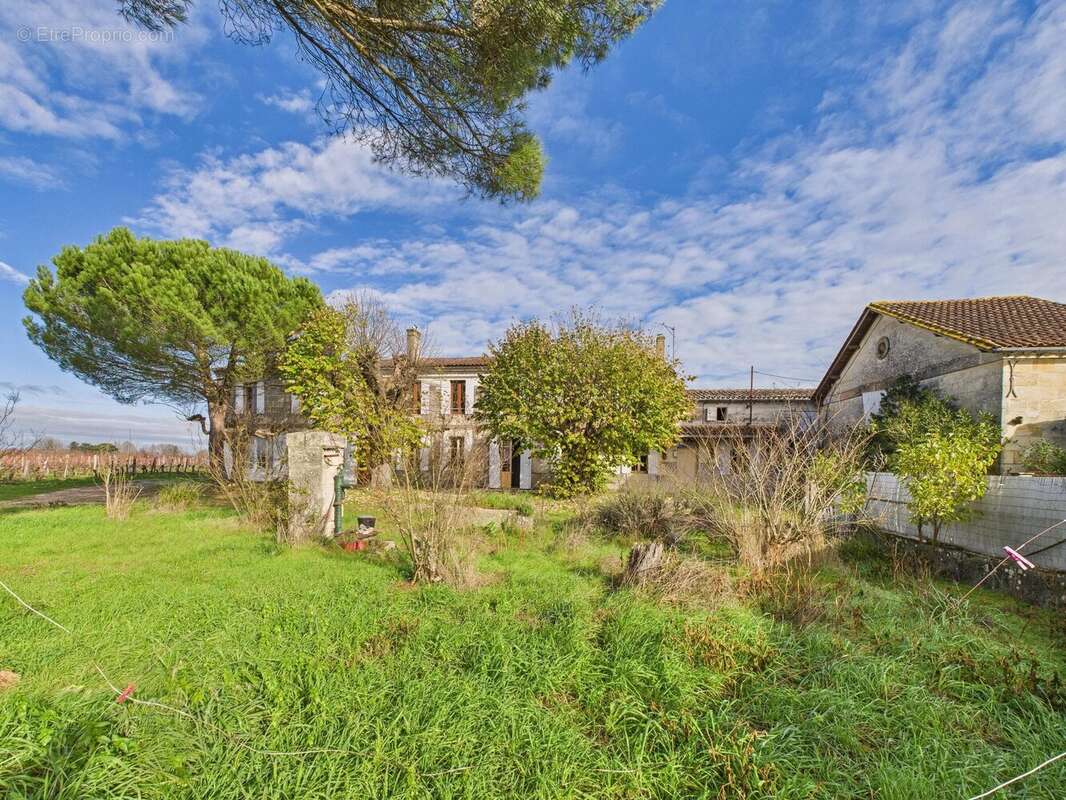 Maison à SAINT-EMILION