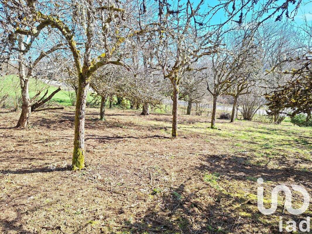 Photo 4 - Terrain à CRANDELLES