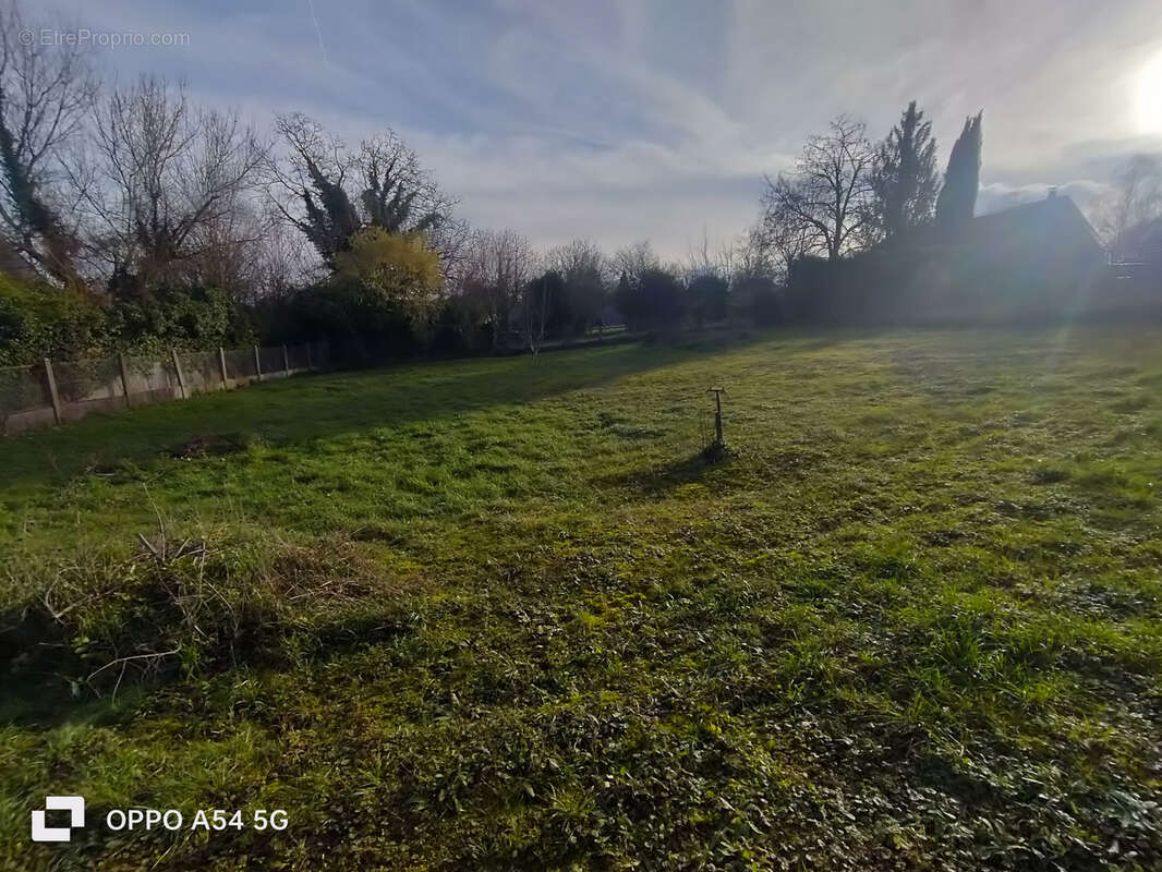 Terrain à PONT-SUR-YONNE