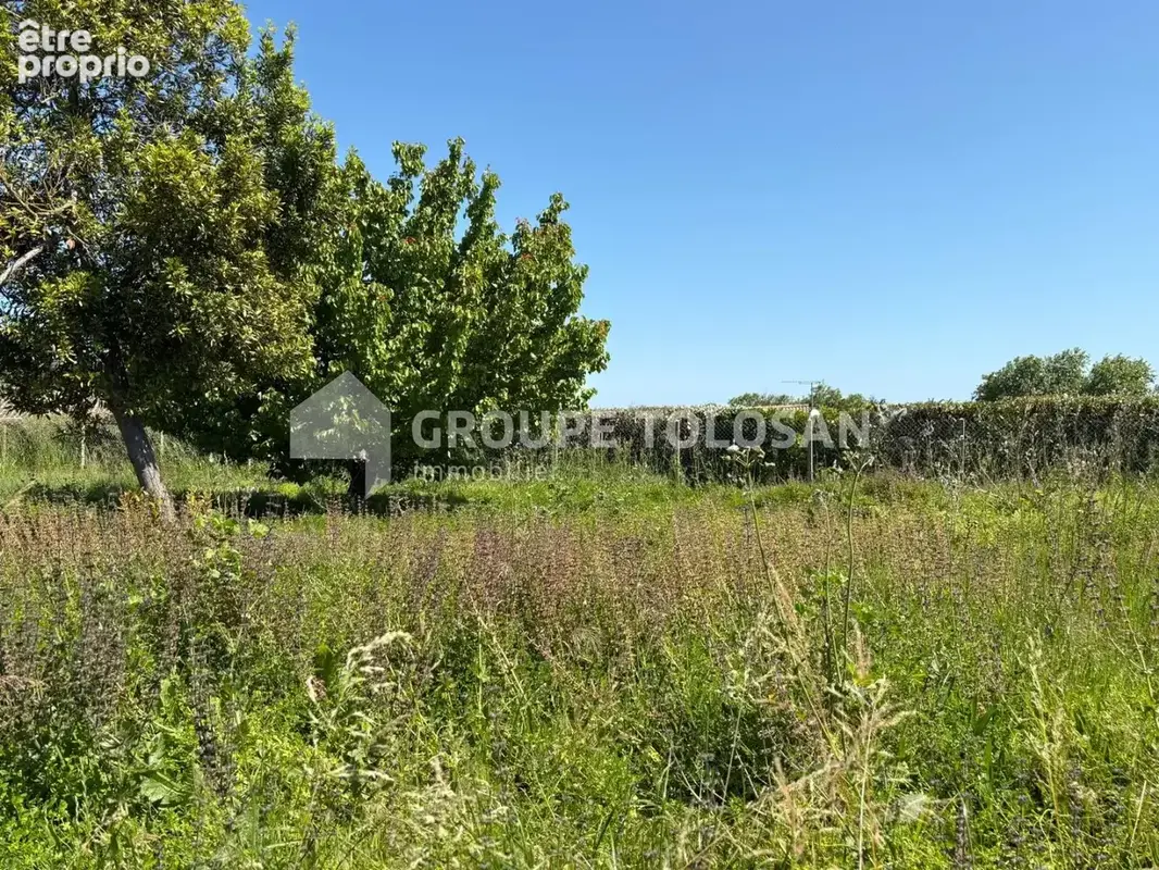 5 minutes sainte foy d'aigrefeuille  - maison sur terrain 472m2 - photo 3