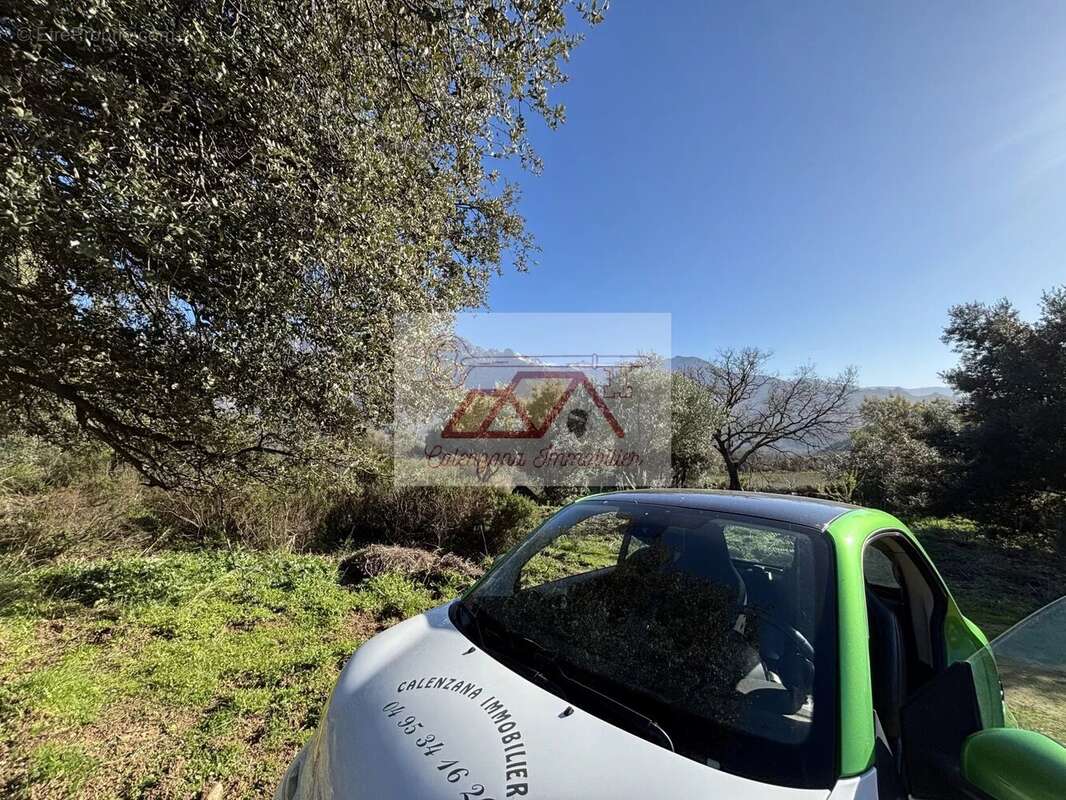 Terrain à CALENZANA