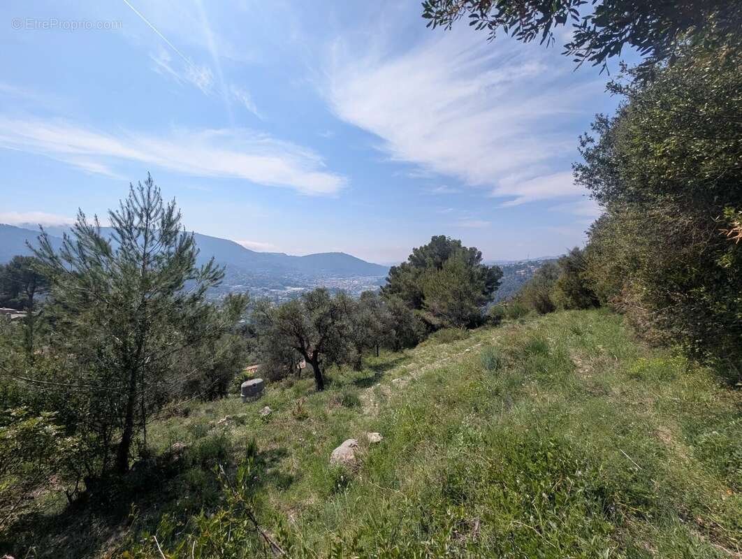 Terrain à DRAP