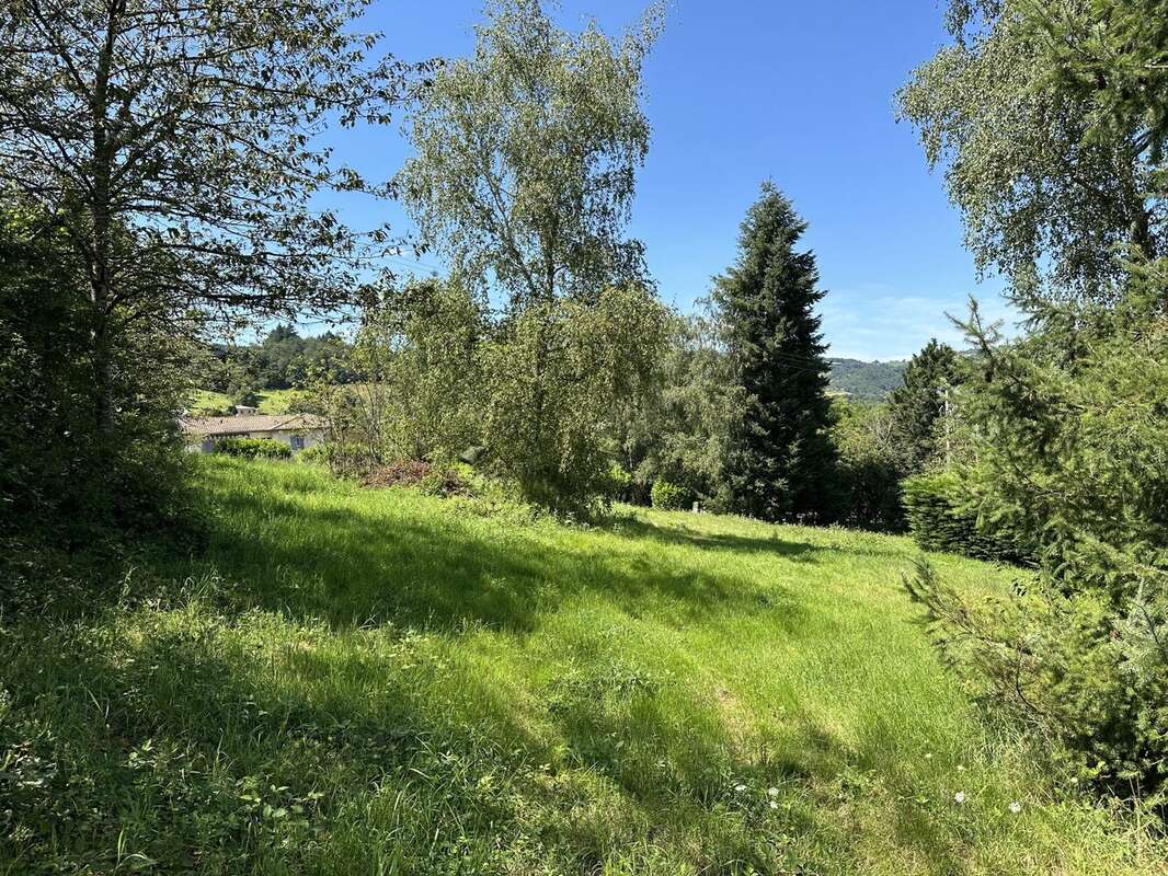 Terrain 1079 m² à Saint-Didier-Sur-Beaujeu  - photo 3