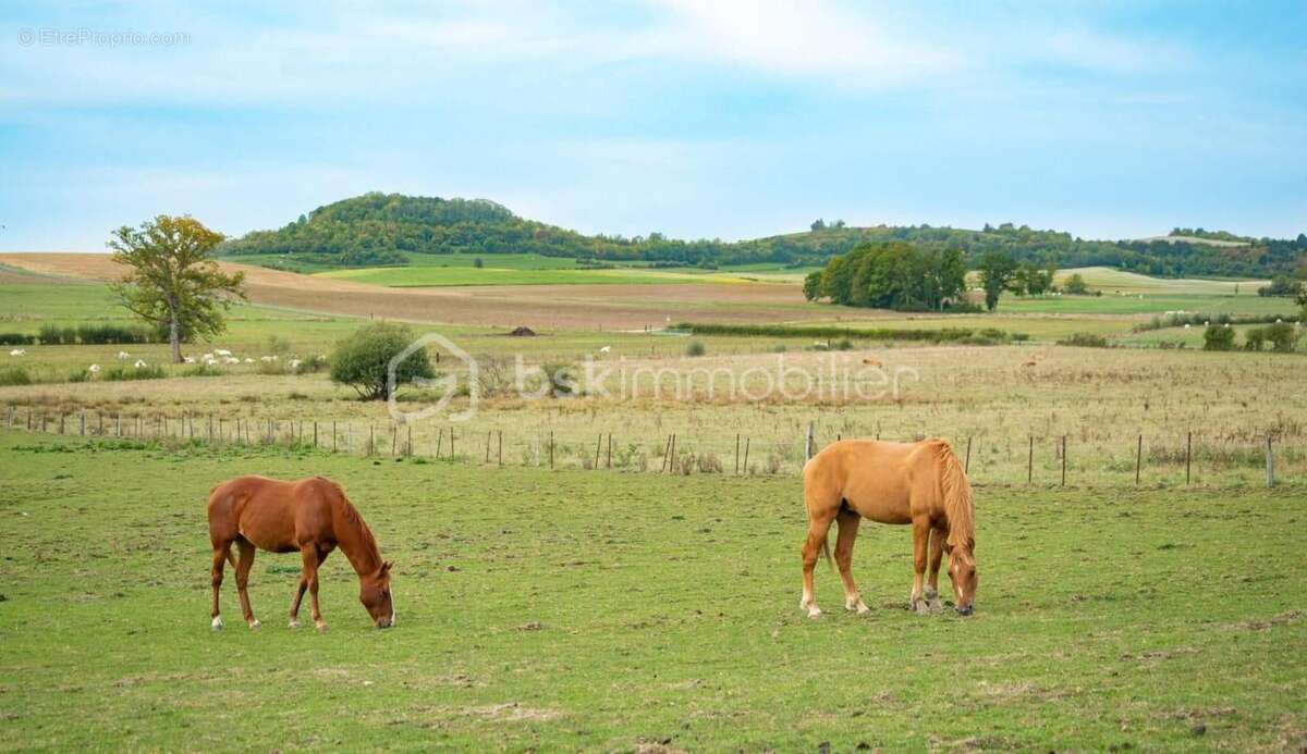 Maison à NOVION-PORCIEN