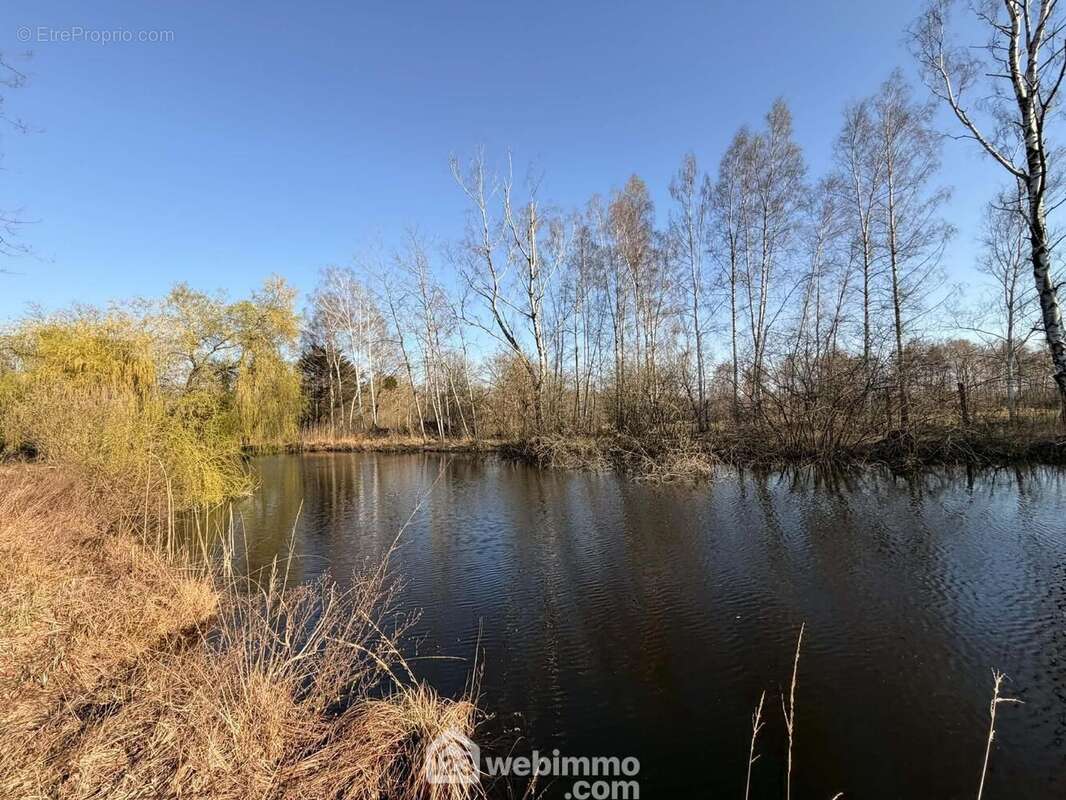 Vous serez séduits par l'environnement et ... - Terrain à PIERREPONT