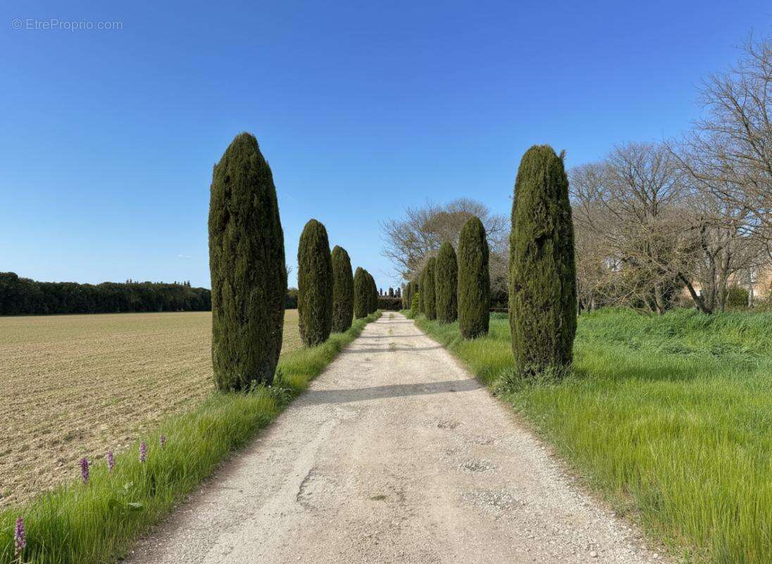 Appartement à ORANGE