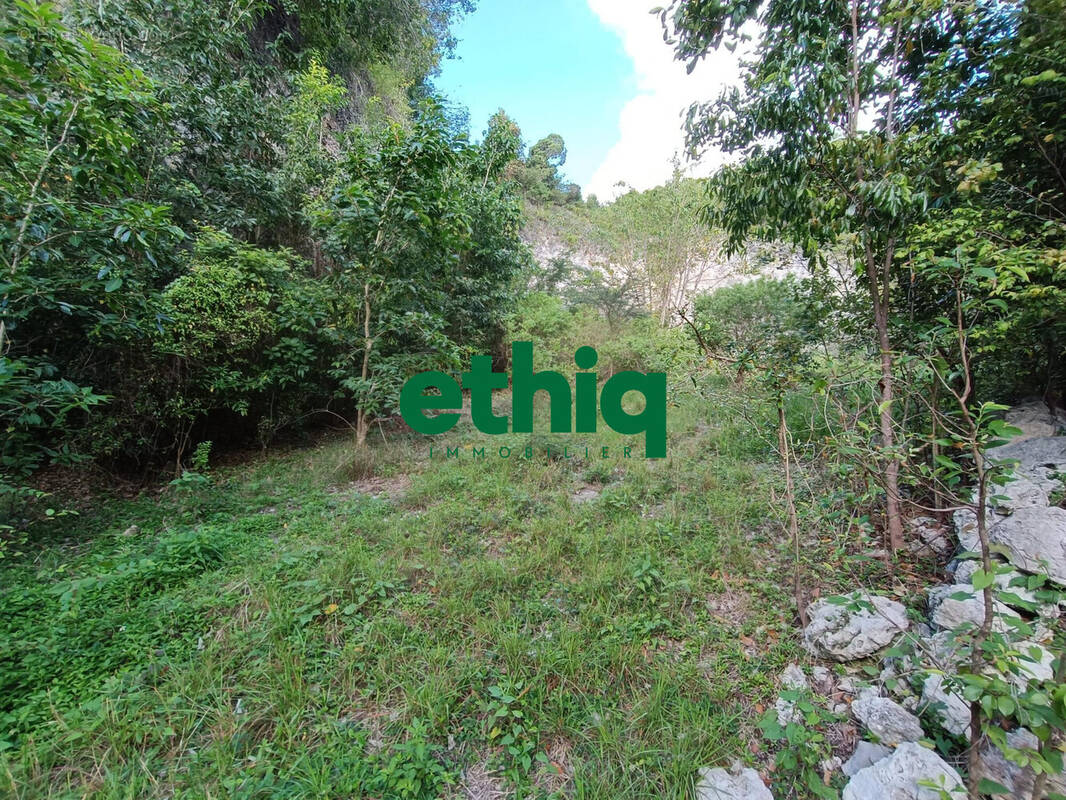 Terrain à SAINTE-ANNE