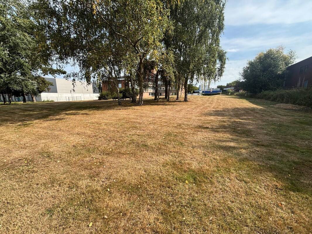 Terrain à NEUVILLE-EN-FERRAIN
