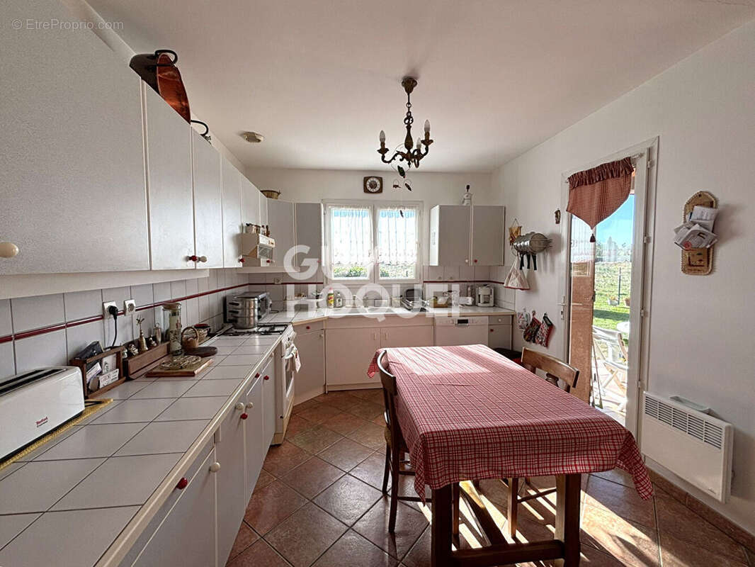 Maison à LA SALVETAT-SAINT-GILLES