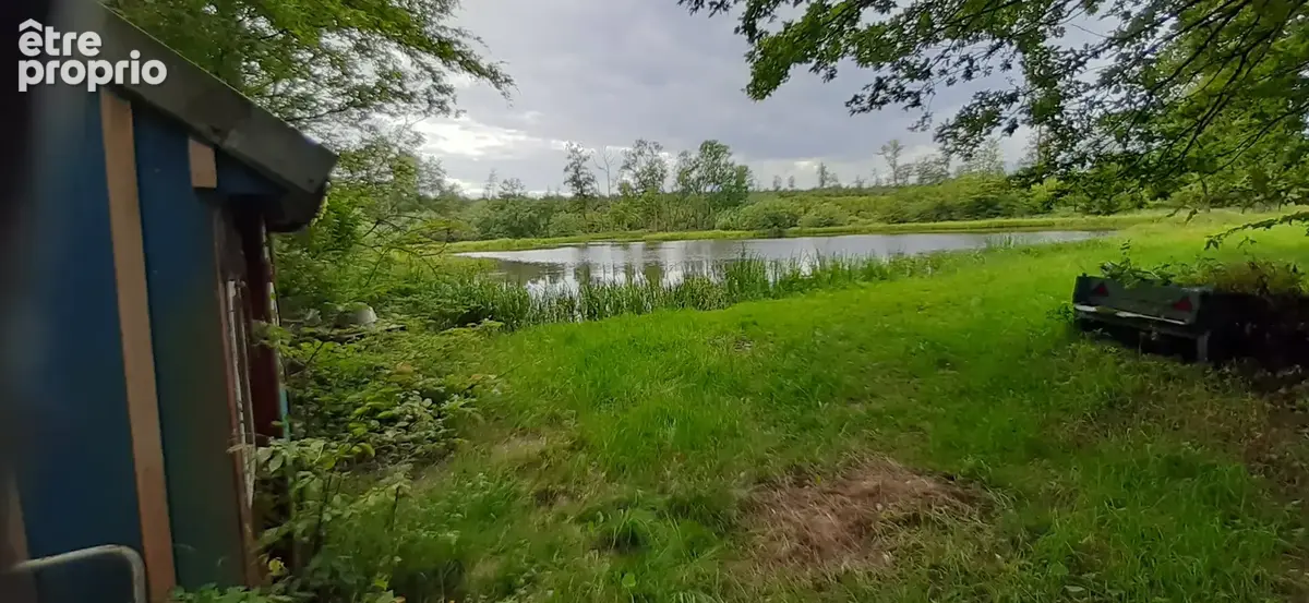 Etang vidangeable 1 ha avec abri pêche - photo 3
