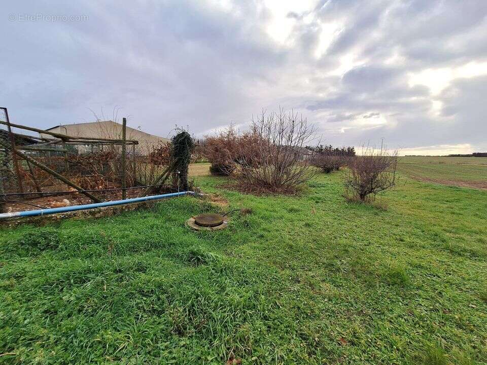 Maison à CHATEAUNEUF-SUR-ISERE