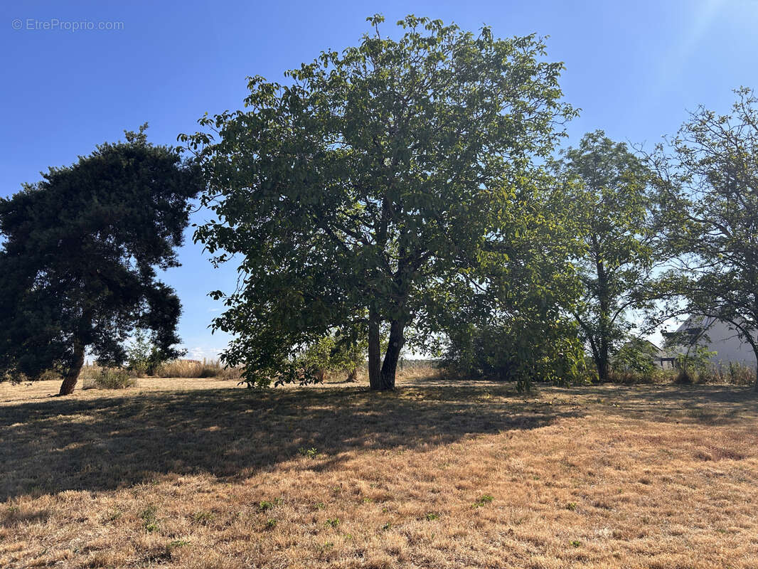 Longère de charme avec dépendances sur plus de 3 600 m2 de terrain - photo 16