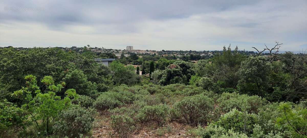 Terrain à VILLENEUVE-LES-AVIGNON