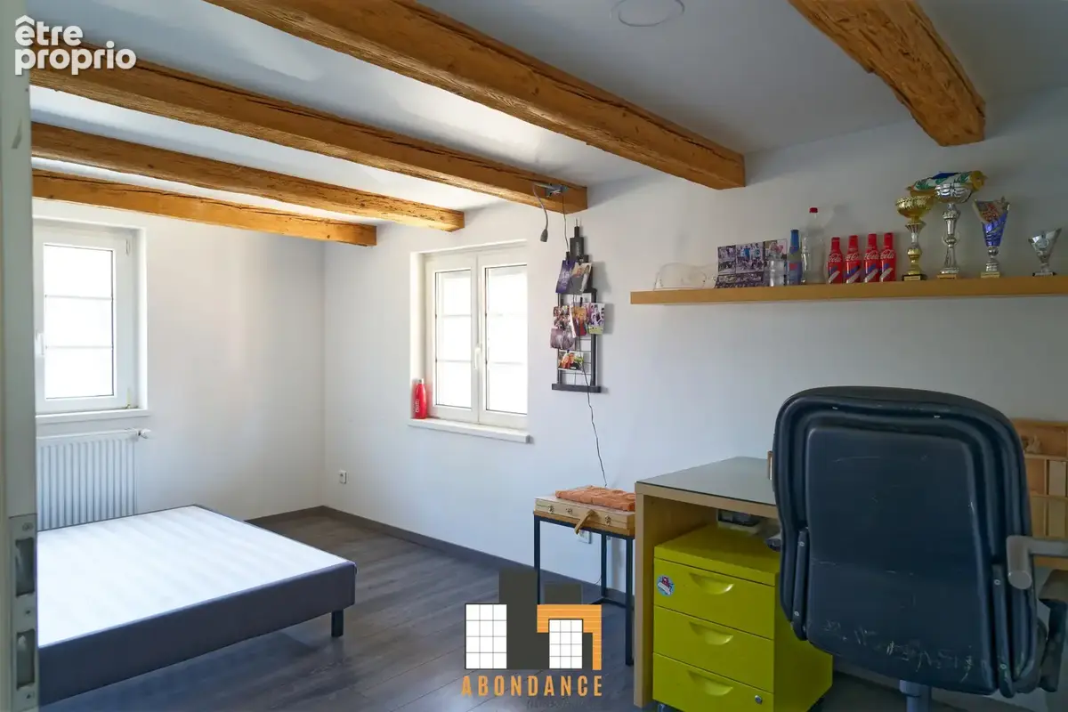 La Wantzenau Village charme et modernité pour cette maison de 256m2 hab sur 7.77a! - photo 29