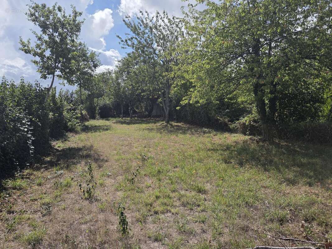 Terrain à GREZ-EN-BOUERE