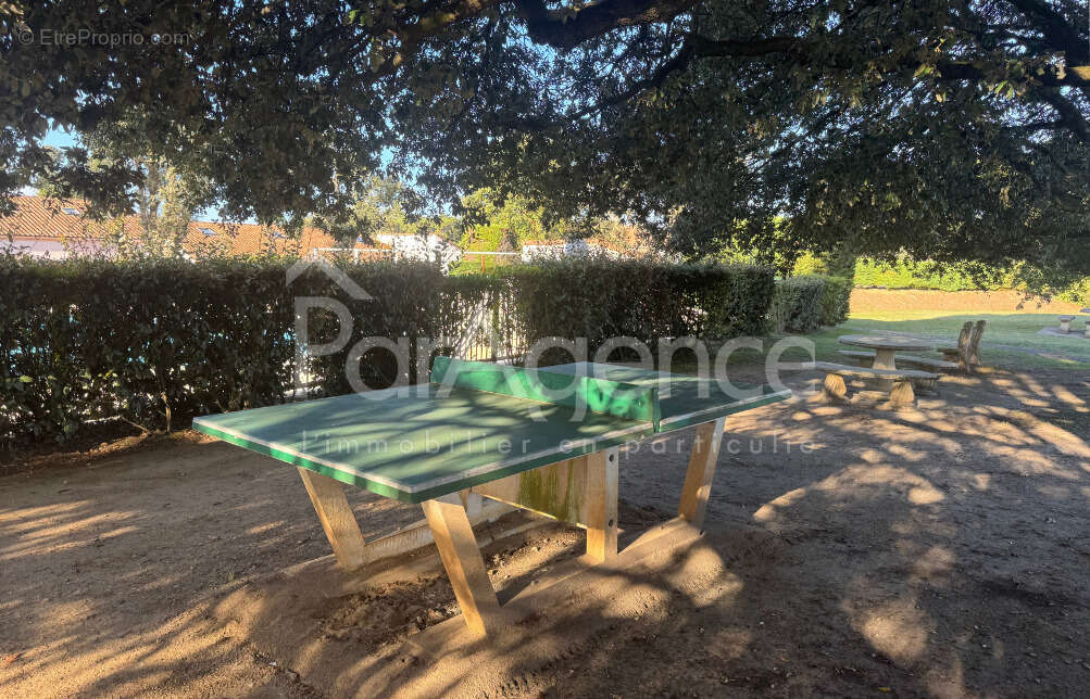 Appartement à SAINT-PALAIS-SUR-MER