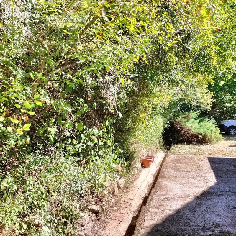 maison de campagne paradis au calme sur 4ha , 5 min de Simorre - photo 47