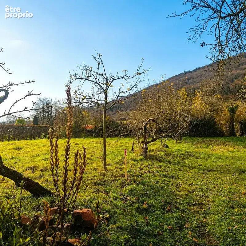 Terrain à CHATENOIS