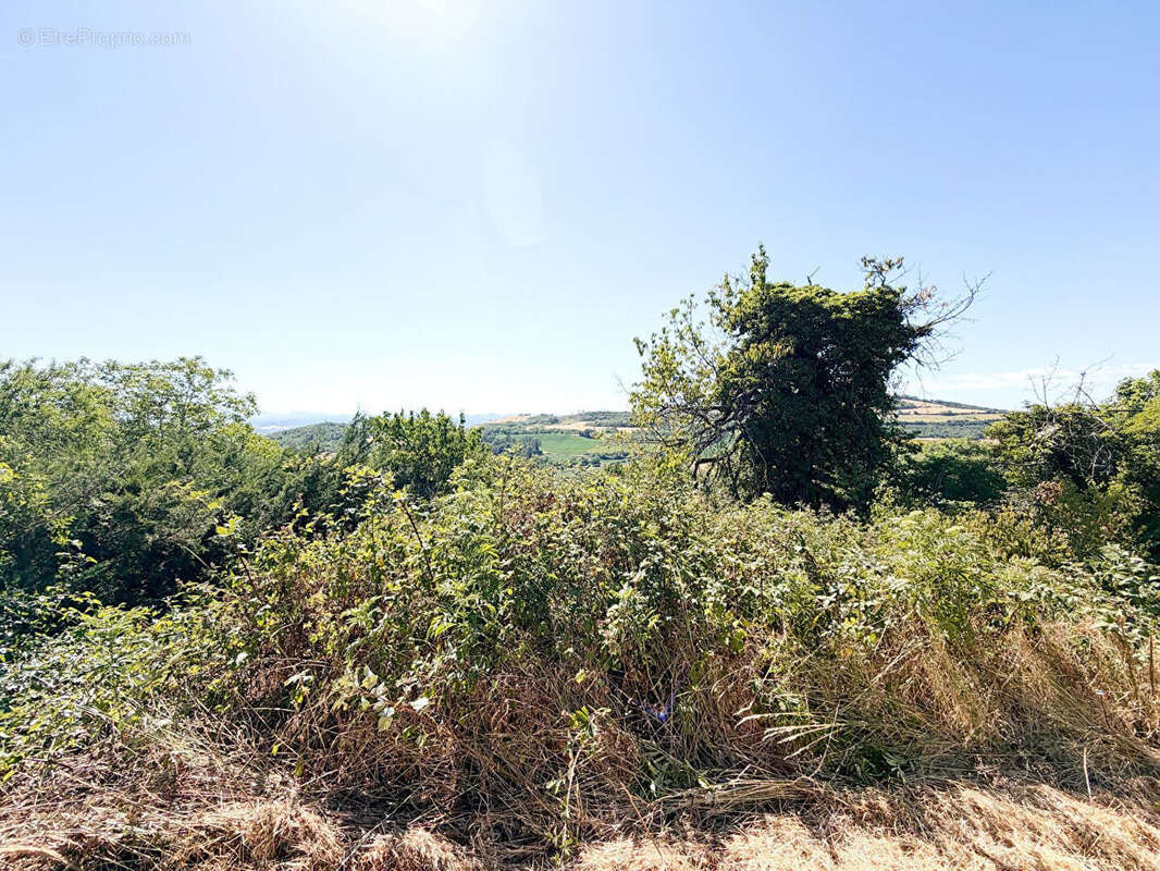 Terrain à CHAURIAT