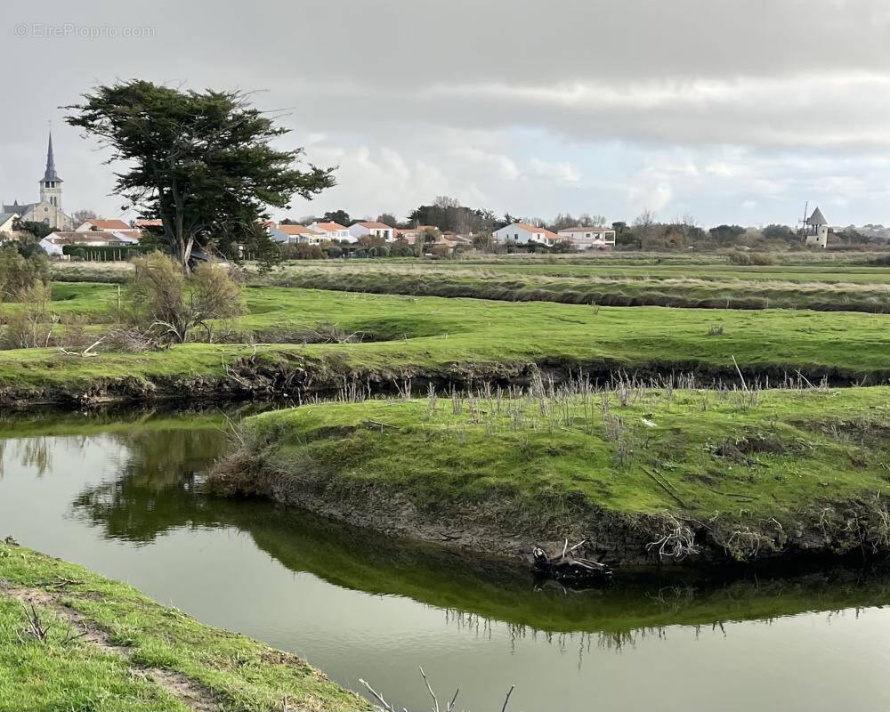 Terrain à L'ILE-D'OLONNE