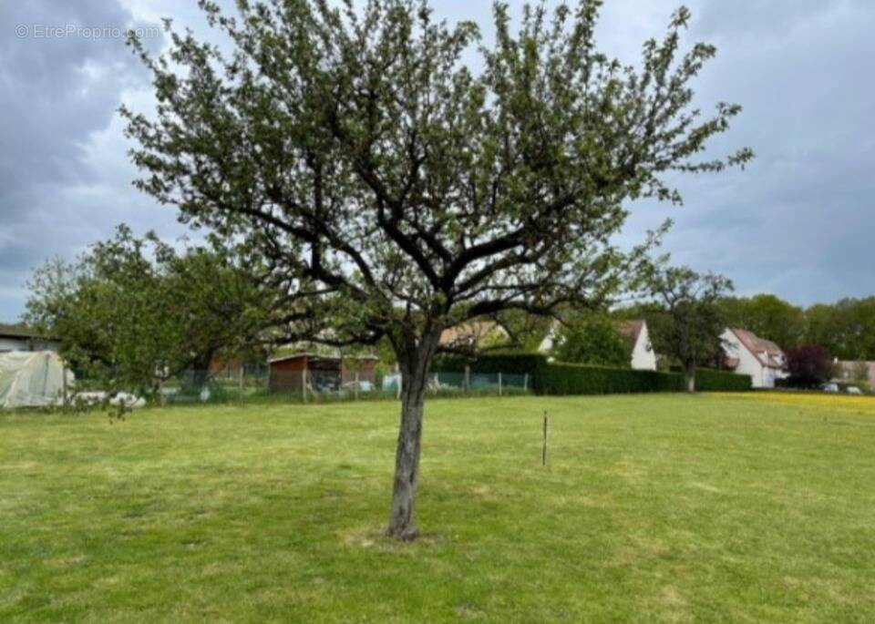 Terrain à ONCY-SUR-ECOLE