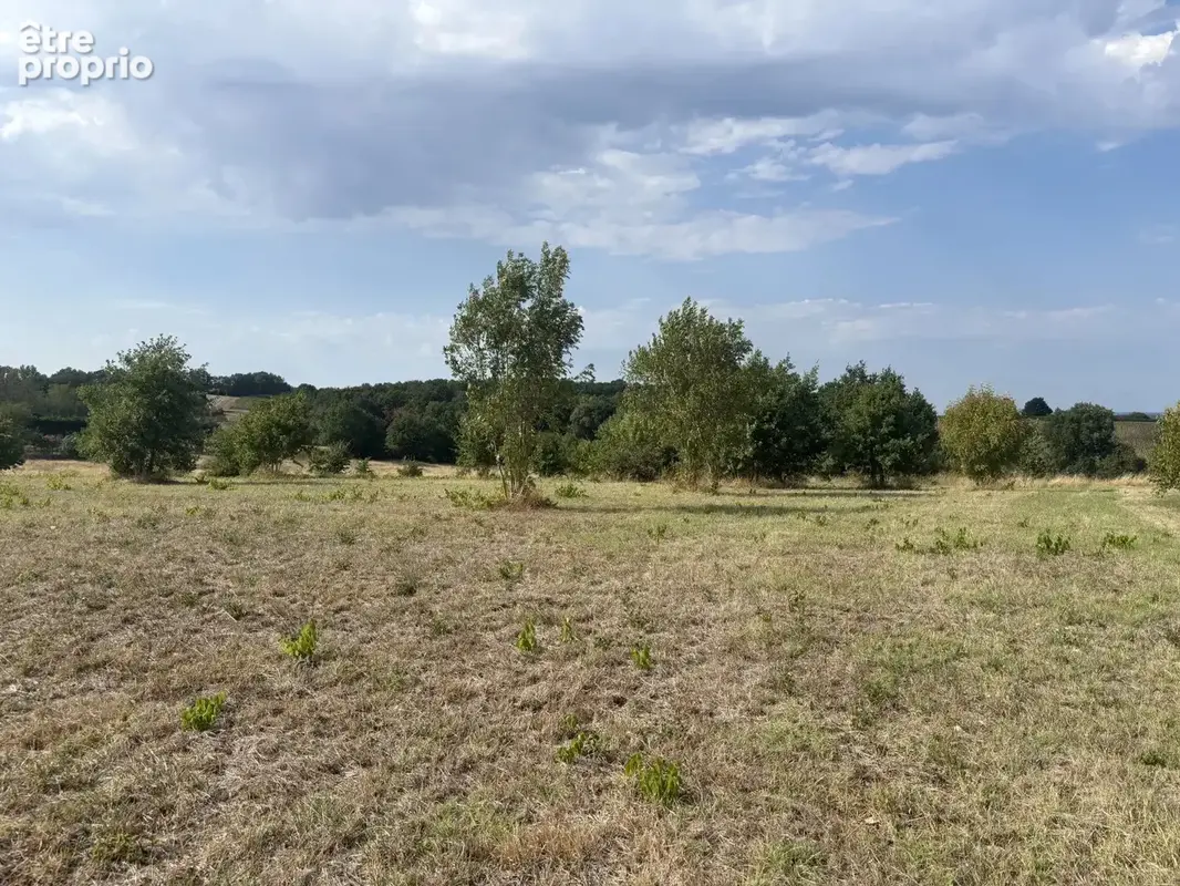 Terrain à THENAC