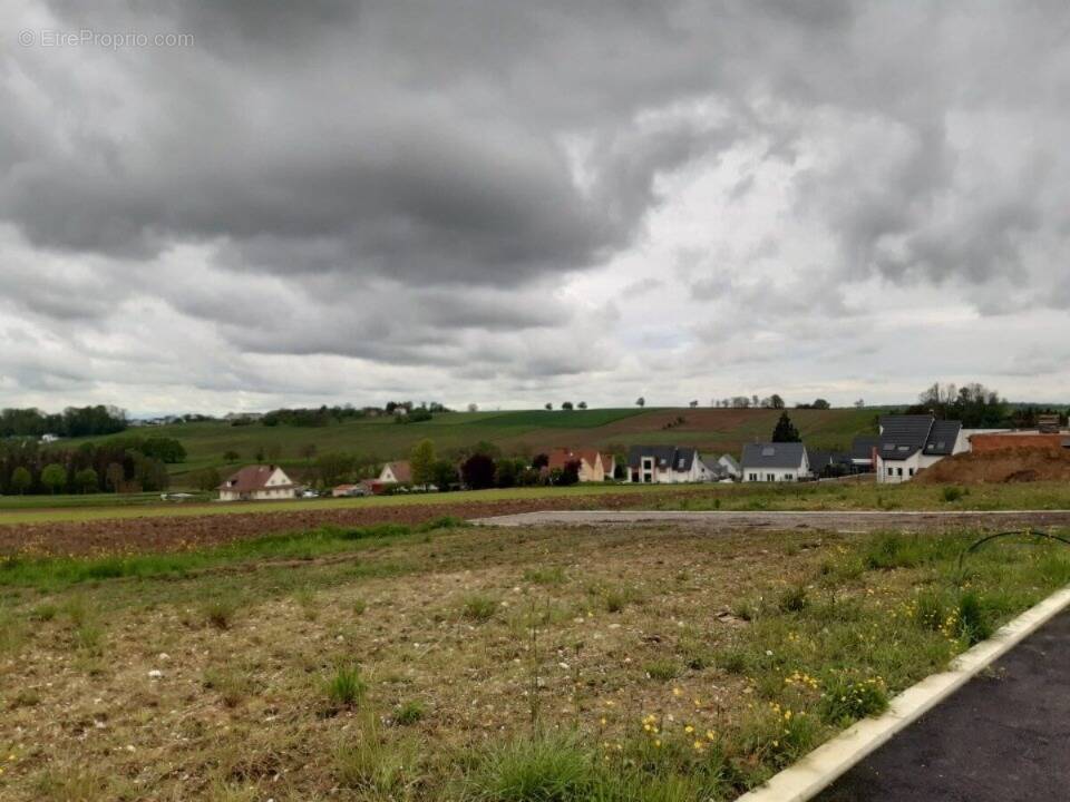 Terrain à MUESPACH-LE-HAUT