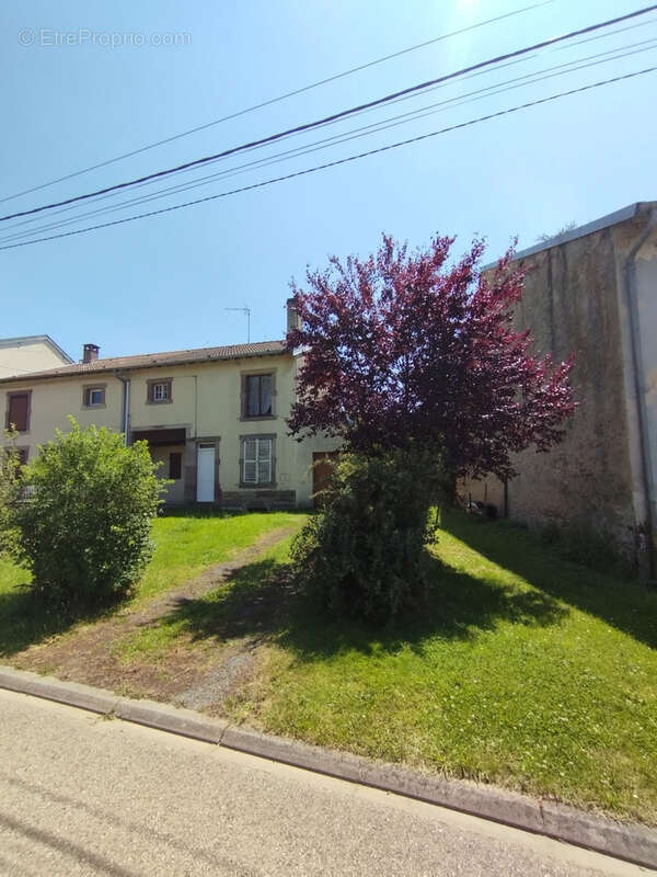 Maison à NEUVILLER-LES-BADONVILLER