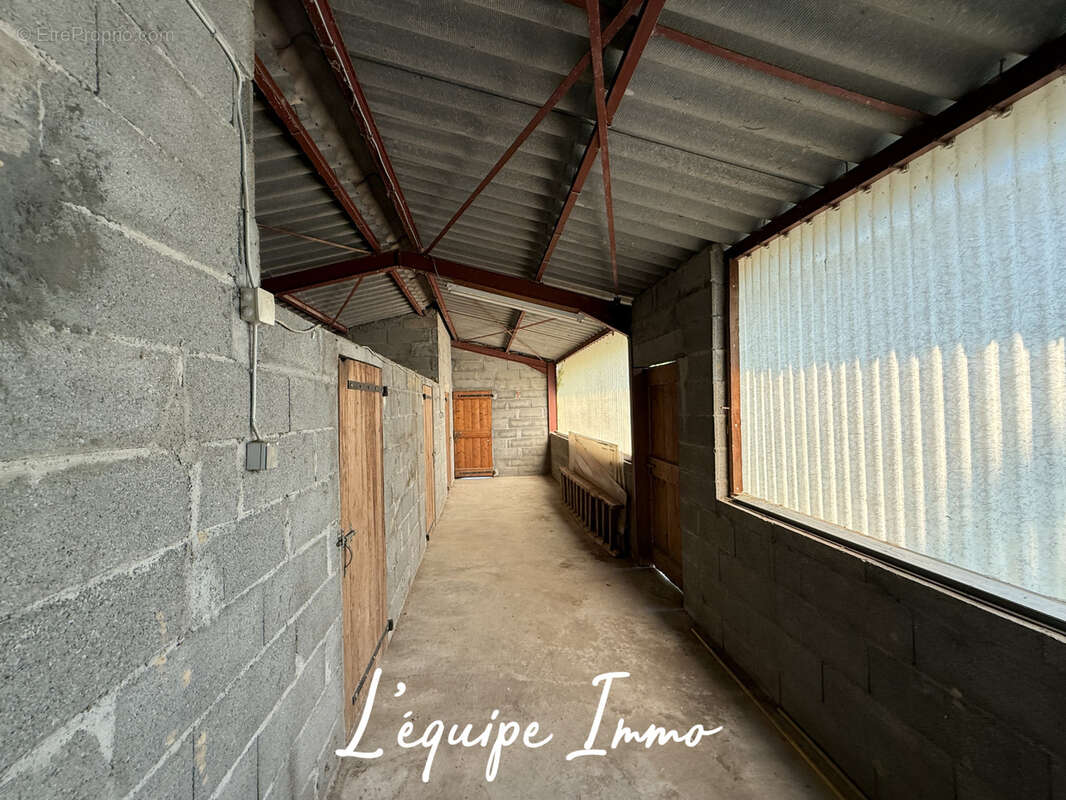 Maison T4 de 113m2 sur 2230m2 en pleine campagne. - photo 12