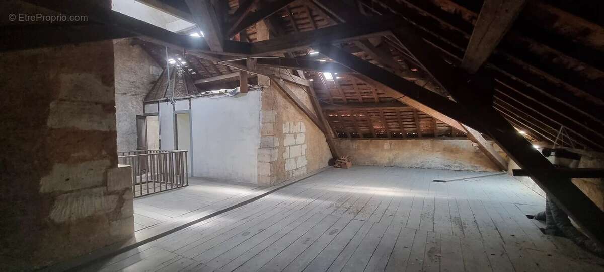 Centre ville maison de maitre xixéme siècle - photo 19