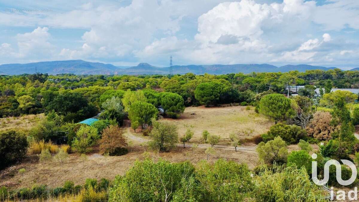 Photo 2 - Maison à PUGET-SUR-ARGENS